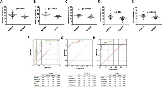 Distribution of lncRNAs in plasma and AUC for lncRNA panels in training set.