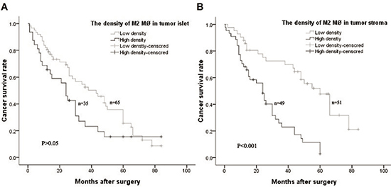 Kaplan&#x2013;Meier overall survival curves of Kazakh esophageal squamous cell carcinoma (ESCC) patients stratified by the density of CD163 positive M2 macrophages (M&#x00D8;) in tumor islet and stroma based on the median number.