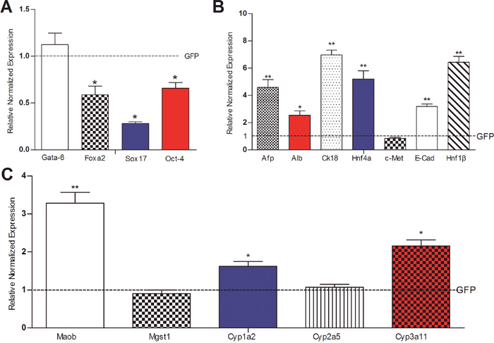 The effect of Cre-mediated removal of SV40 T antigen on the basal expression of liver stemness markers and hepatic differentiation-associated genes in the iHPx cells.