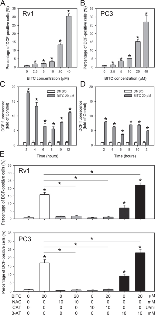 BITC induces dose-dependent, but not time-dependent, ROS generation in human prostate cancer cells.