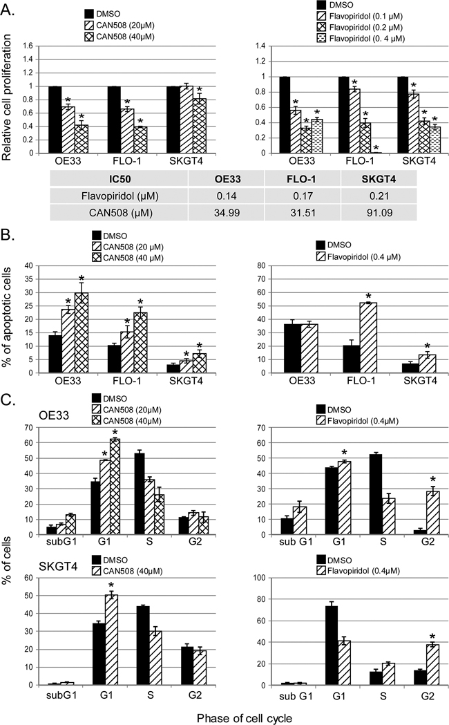 Effects of pharmaceutical inhibition of CDK9 on cell proliferation, apoptosis and cell cycle.