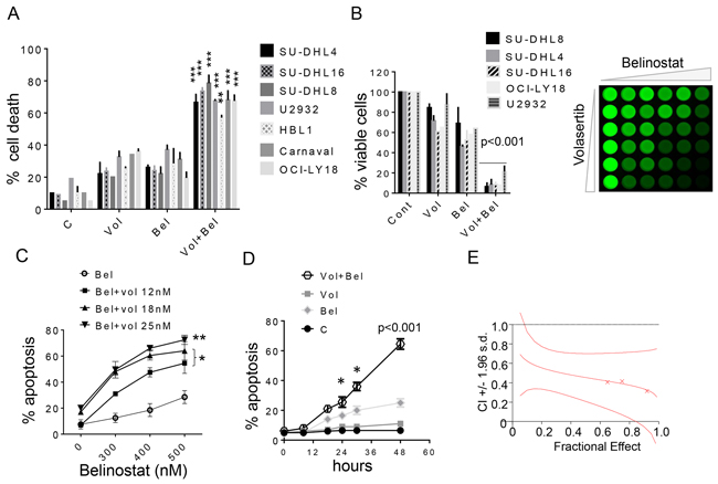 Belinostat dramatically increases volasertib lethality and inhibits cell growth in DLBCL cells.