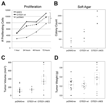 Figure 2:Functional effects of CITED1 misexpression in WiT49 cells.