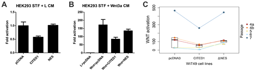 Misexpression of CITED1 both in human embryonic kidney cells (HEK293) that have been stably transfected (STF) with a TOPflash reporter and in WiT49 cells that had subsequent transient transfection of a TOPflash reporter.