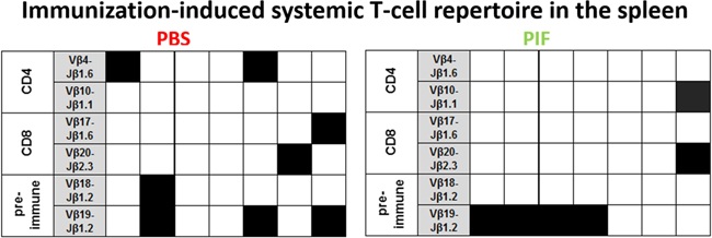 PIF does not modulate splenic T cell repertoire.
