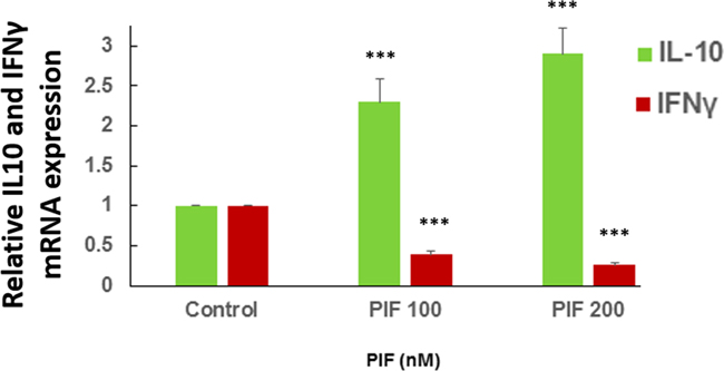 PIF promotes IL10 and reduces IFN&#x03B3; expression in microglia cultures.