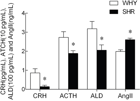 The content of CRH, ACTH, ALD and AngII in plasma from SHR compared with WKY.