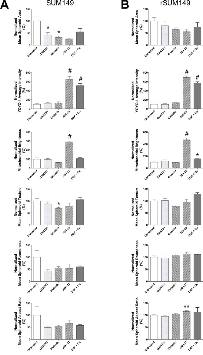 Quantitative analysis of XIAP and NF&#x03BA;B inhibitors on IBC tumor spheroid cell morphology, viability and mitochondrial function.