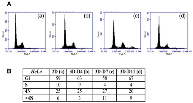 Cell cycle analysis on TSA/pc cells.