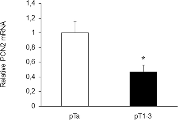 Correlation between urinary PON2 expression level and pT.