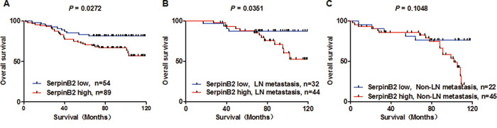 SerpinB2 overexpression is associated with unfavorable BC patient survival outcomes.