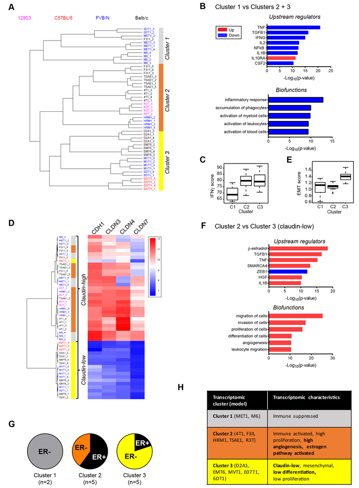 Transcriptomic architecture of the mouse tumor panel.
