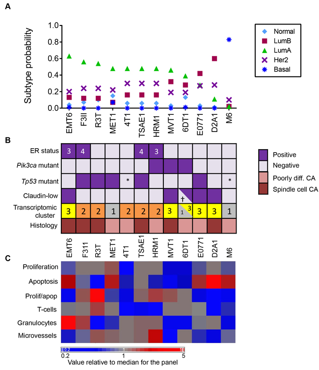 Intrinsic Subtypes and Related Biological Properties of Primary Tumors from the Mouse Model Panel.