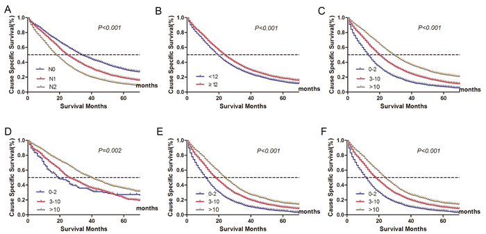 Cancer-specific survival (CSS) stratified by different lymph node status (A-C).