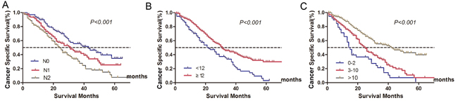 Survival curves of metastatic colorectal cancer treated with palliative surgery in Fudan University Shanghai Cancer Center according to different lymph node status.