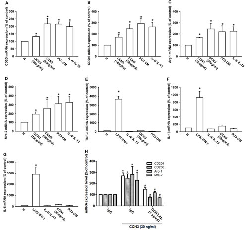 Fig 2: CCN3 promotes innate RAW264.7 macrophages toward M2 phenotype polarization.