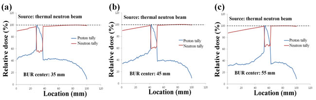 Percentage depth dose (PDD) of both neutron and proton after the boron neutron capture reaction.