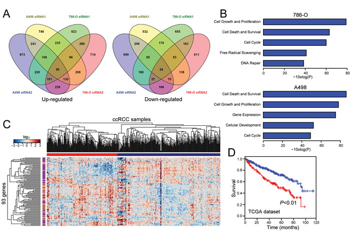 Transcriptome