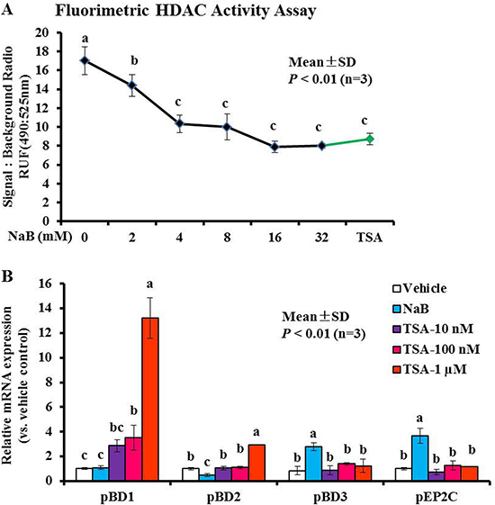 Modulation of histone acetylation activity and AMP gene expression in response to NaB or TSA.