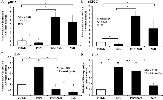Effect of NaB on porcine kidney cells in the presence of the TLR2 ligand peptidoglycan.