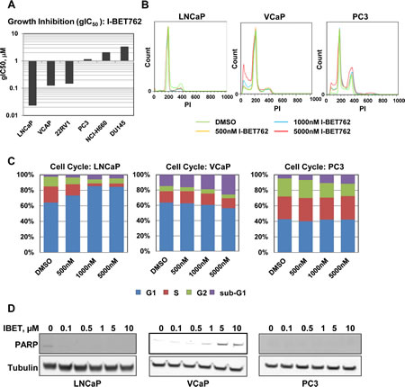 Characterization of I-BET762 sensitivity in prostate cancer cell lines.