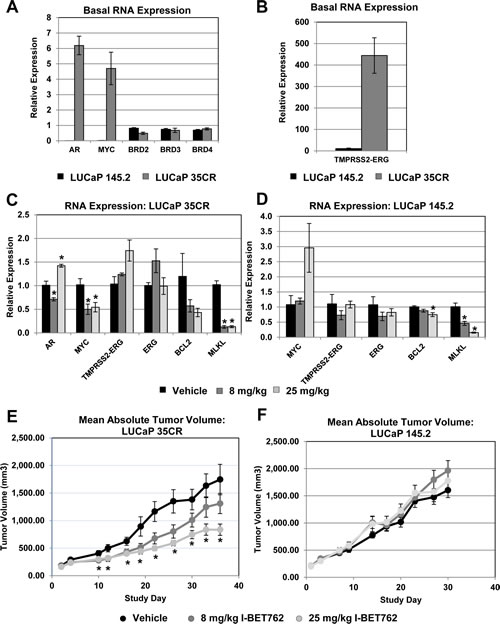 I-BET762 inhibits tumor growth in primary xenograft models with high