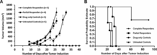 Figure 7: