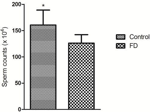 Effect of folate deficiency on sperm counts in mice.