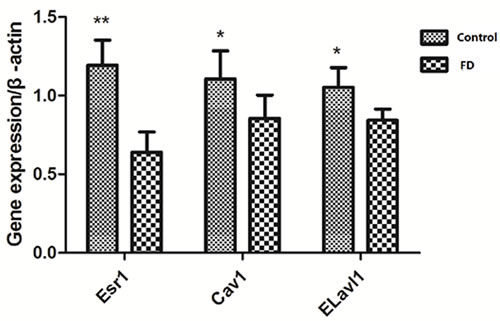 Effect of low dietary folate on gene expression of