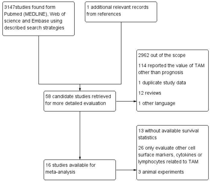 Selection of studies.