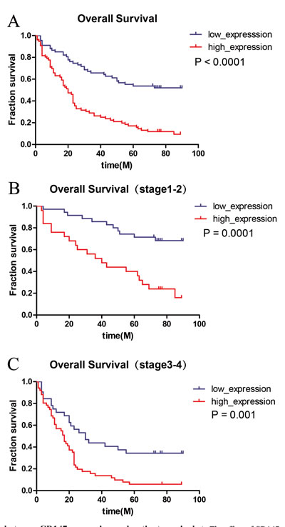 Association between CD147 expression and patient survival.