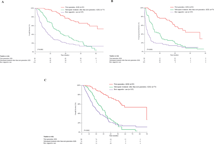 Overall survival according to subsequent systemic treatments initiated after progression on crizotinib in patients with documented progressive disease on crizotinib (n=263).