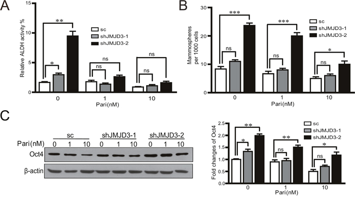 JMJD3 is required for the effects of paricalcitol on the stem cell-like properties in MDA-MB-231 cells.