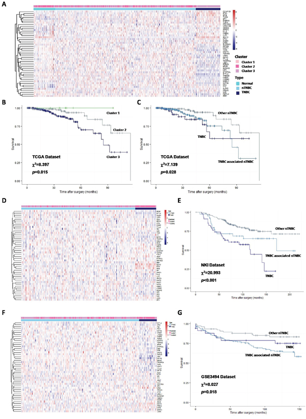 Clustering breast cancer patients by 35 core genes and their regulators, and survival analysis.