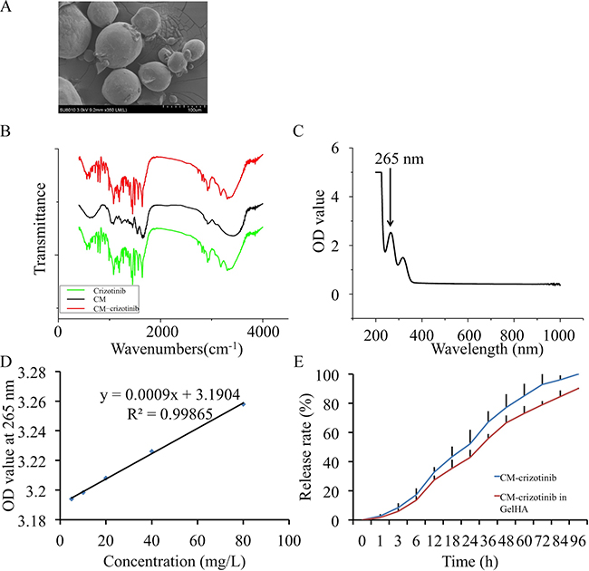 In vitro crizotinib release in chitosan microspheres.