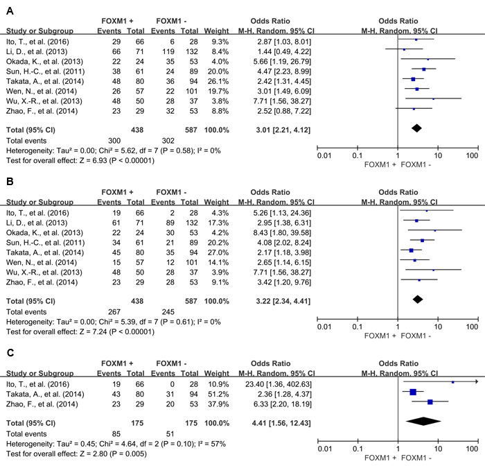 Disease free survival (DFS) according to FOXM1 expression in tumor tissue.