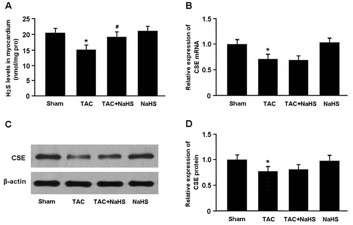 Figure 1: