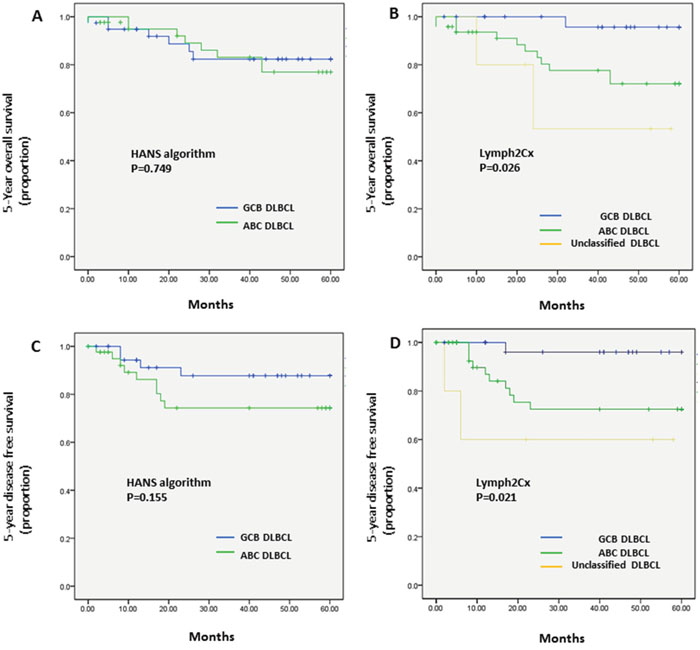 Kaplan&#x2013;Meier analysis of 5-year OS and DFS in the patients with DLBCL types classified by the Hans algorithm A., C. or the Lymph2Cx assay B., D.