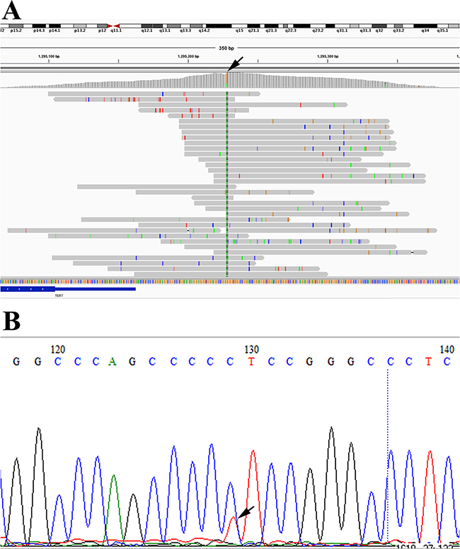 Figure 5: