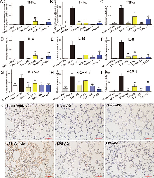 AG1478 and 451 reduced LPS-induced inflammation in rats.