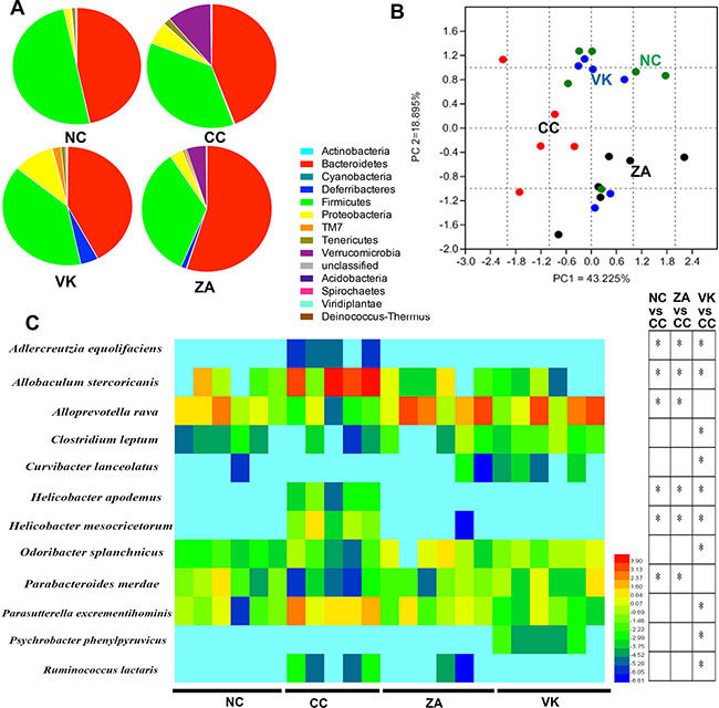 Altered bacterial microbiota biodiversity and composition in the different treatment groups.