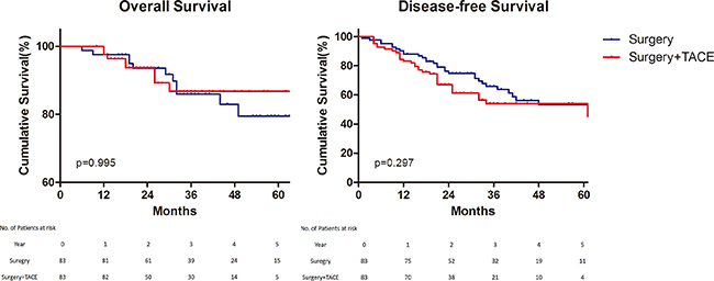 Overall and disease&#x2013;free survival.