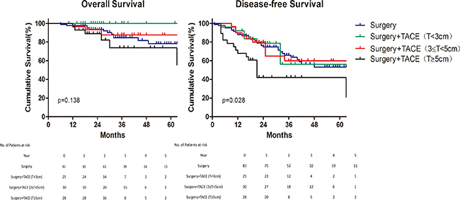 Subgroup analysis of survival for different tumor size.
