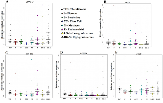 Relative normalized expression of HMGA2, LIN28A, and FHIT as well as the miRNAs miR-30c and let-7a.
