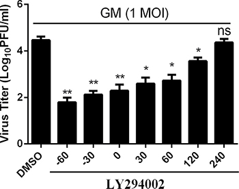 Inhibition of the PI3K activity at the early, but not the later, phase of infection results in reduced titers of NDV progeny.