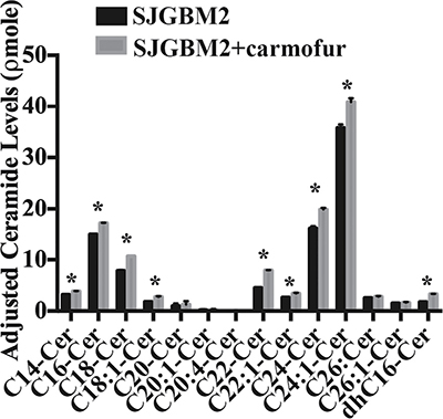 Treatment of SJGBM2 cells with carmofur resulted in intracellular accumulation of ceramides.