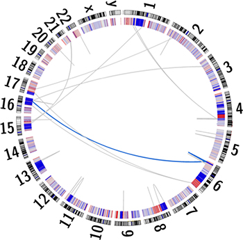 Circos plot depicting the human karyogram with coordinated chained events and SCNAs in the UP2153 tumor.