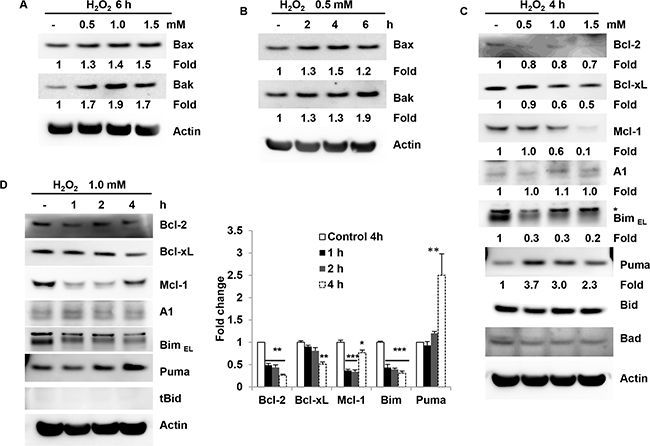 Bcl-2 family members are involved in H2O2-induced granulosa cell apoptosis.
