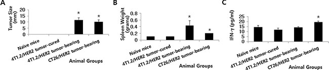 Tumor size, spleen weight and IFN-&#x03B3; levels in mice with and without 4T1.2/HER2 and CT26/HER2 tumors.