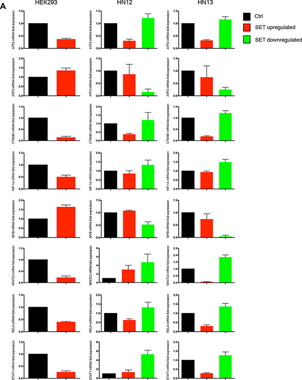 Gene expression of human transcription factors is downregulated through SET protein.